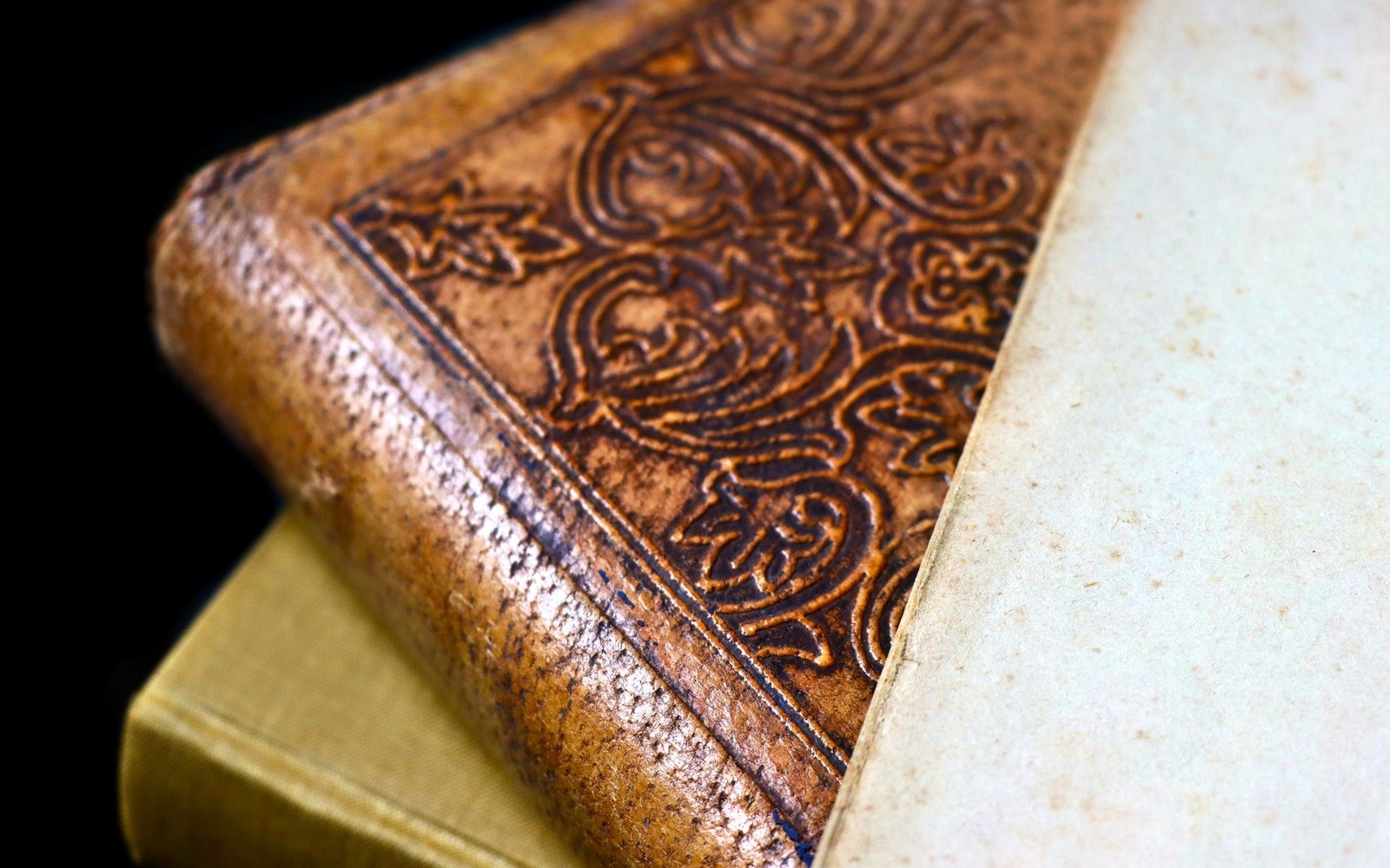 Close-up of an embossed leather book cover with ornate scrollwork resting on aged pages